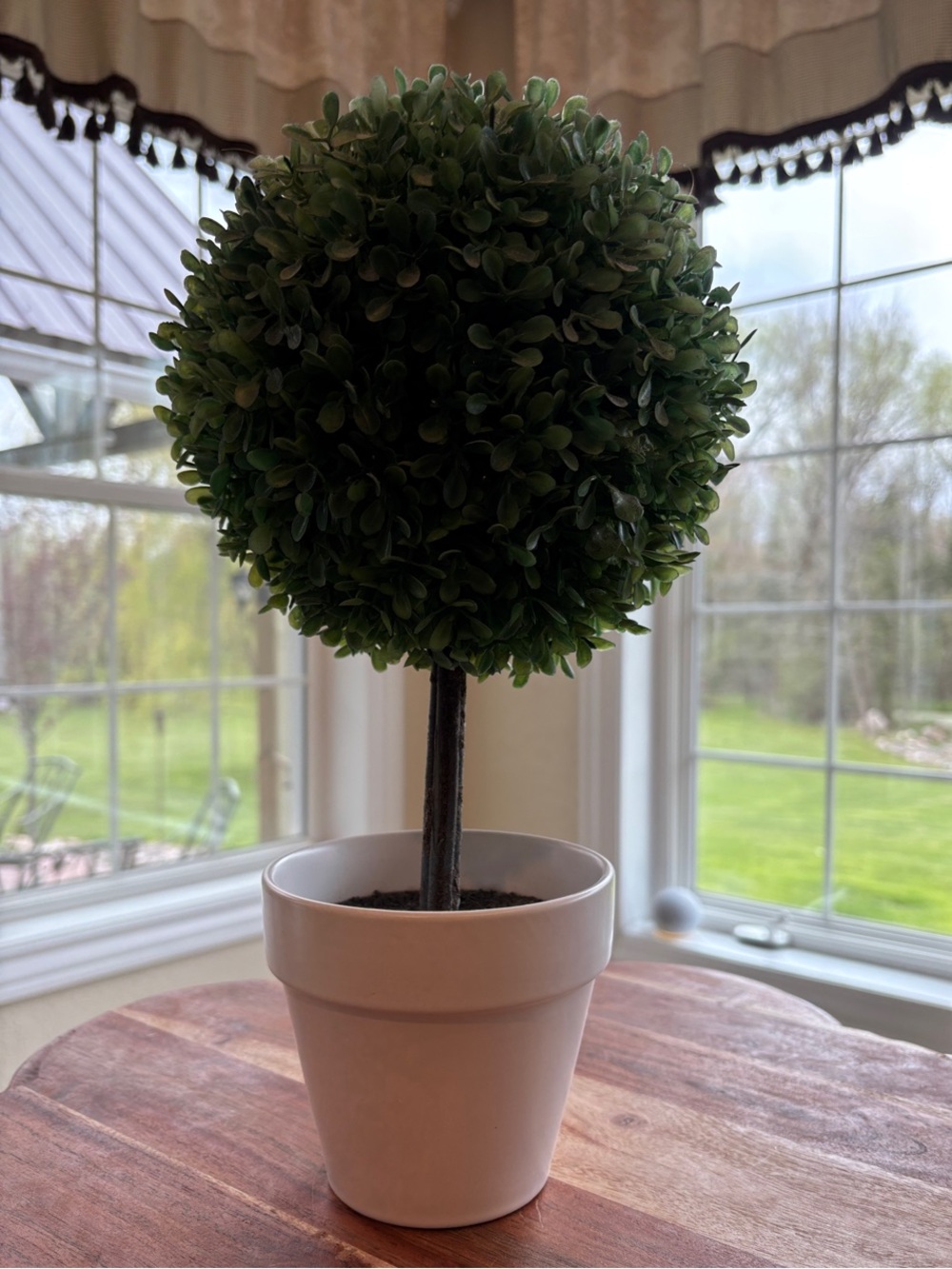 Target Green Faux Boxwood Topiary in White Ceramic Pot